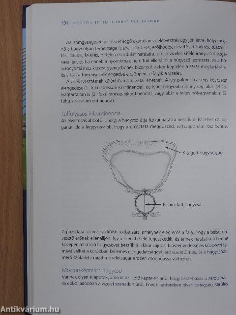 Kriston intim torna férfiaknak