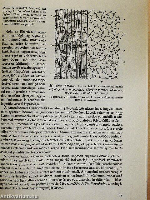 Élettan/Kórélettan