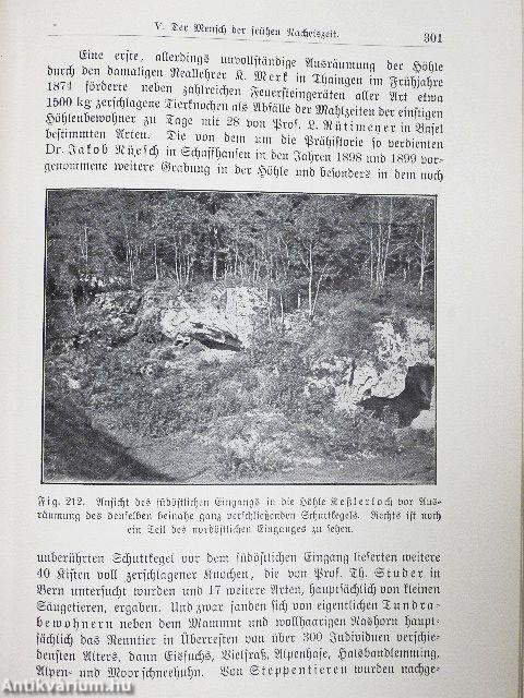 Vom Nebelfleck zum Menschen IV. (gótbetűs)