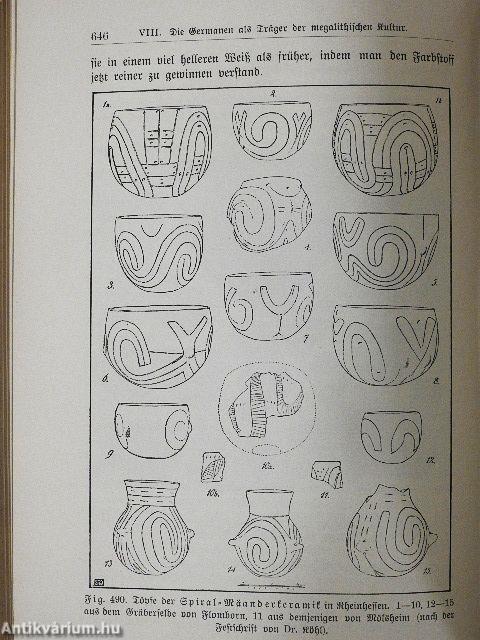 Vom Nebelfleck zum Menschen IV. (gótbetűs)