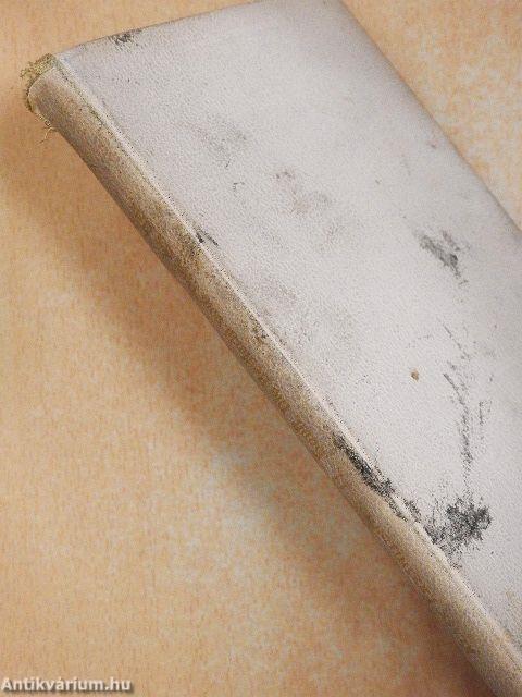 Die Bettlerin vom Pont des Arts (gótbetűs)