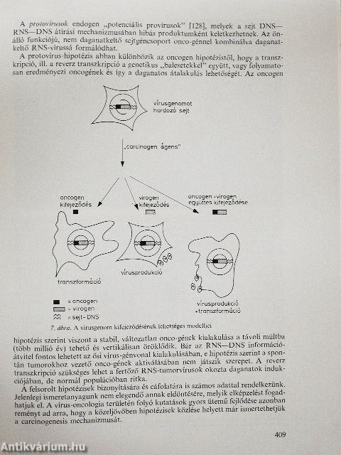 Az orvosi virológia aktuális kérdései