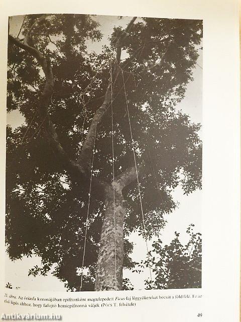 Növényföldrajz, társulástan és ökológia