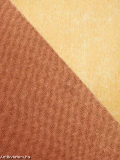 Francia-magyar nagyszótár I-II.