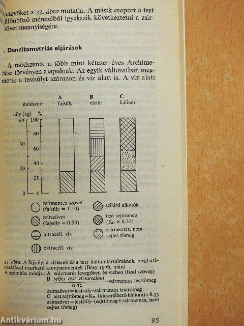 Az elhízás kórélettana