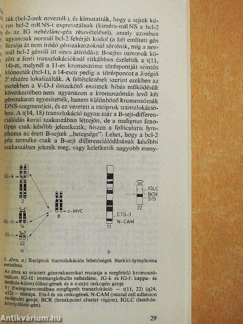 Gyermekkori malignus (szolid) tumorok