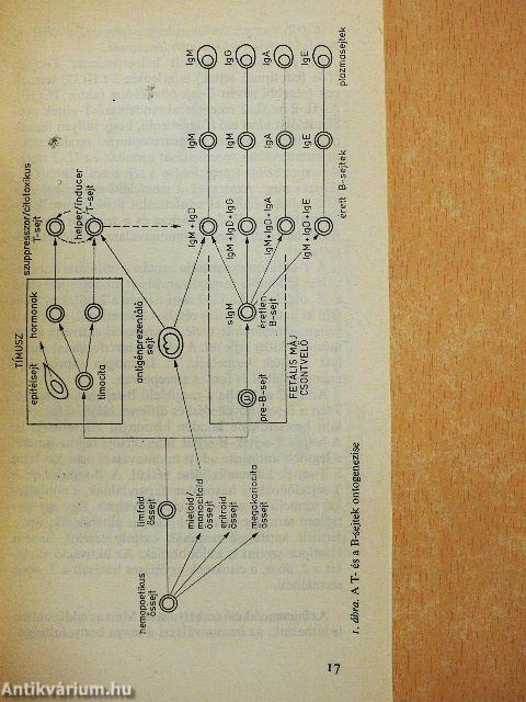 Klinikai immunológia