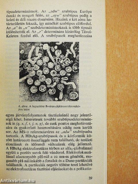 Hepatitiszvírusok, vírushepatitiszek