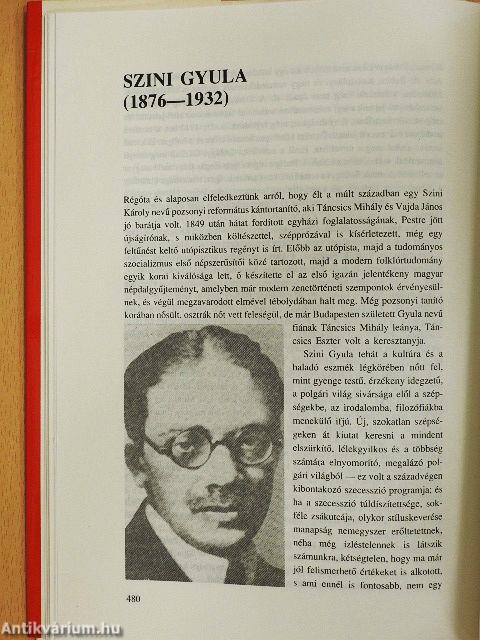 A magyar irodalom arcképcsarnoka I-II.