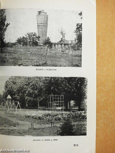 Fák, virágok, füvek