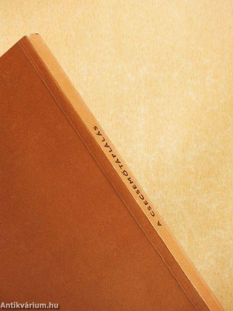 A csecsemőtáplálás