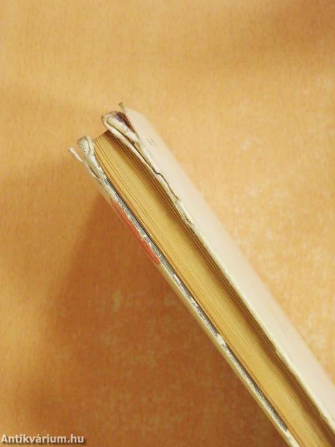 Homokpoggyász (dedikált példány)