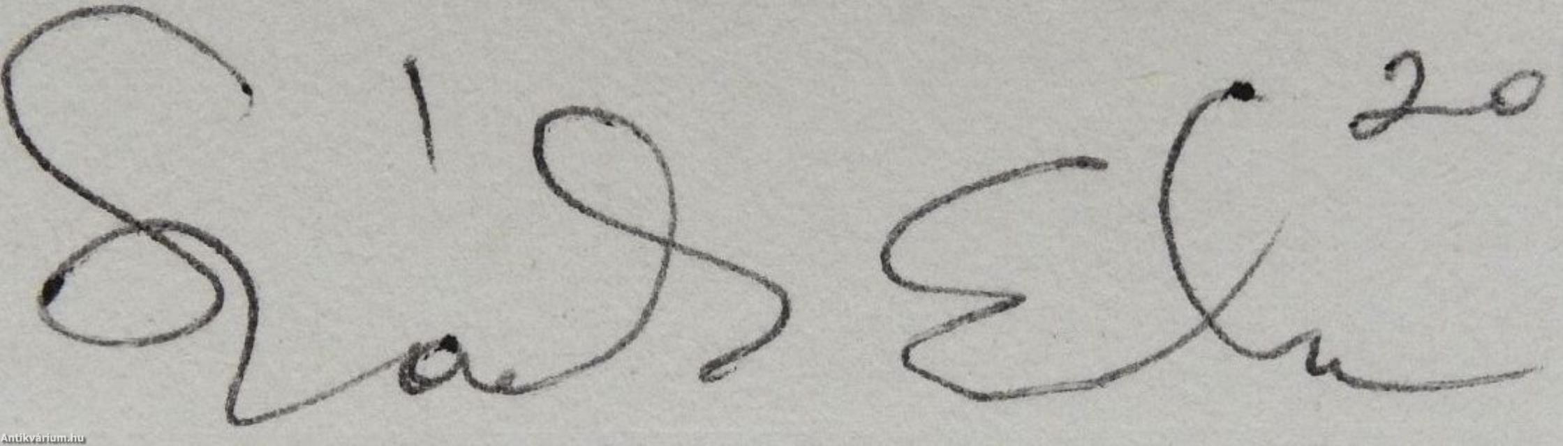 Ember díszletek nélkül (dedikált példány)