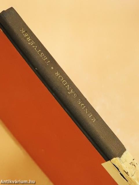 Testvérek (dedikált példány)