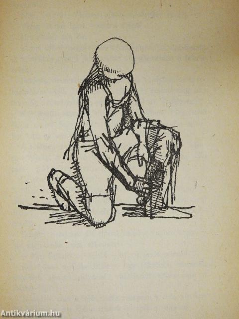 Testvérek (dedikált példány)