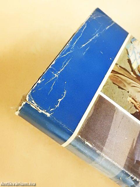 Tájfun Manila felett