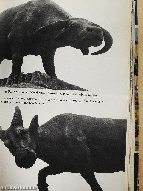 Tájfun Manila felett