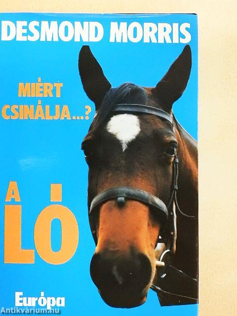 Miért csinálja...? A ló