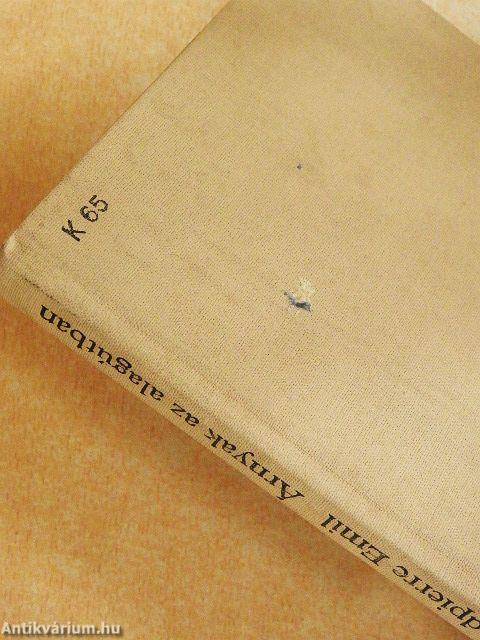 Árnyak az alagútban