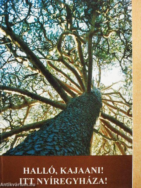 Halló, Kajaani! Itt Nyíregyháza!