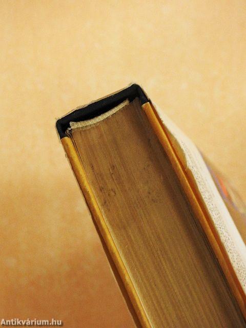 Az ezeregyéjszaka meséi