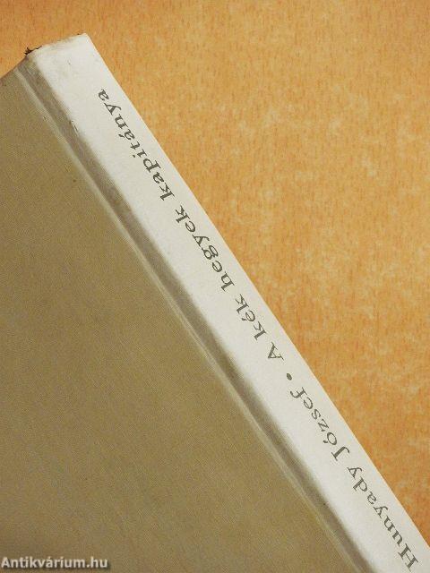 A kék hegyek kapitánya