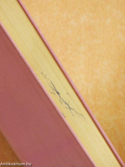 Matematika új felfogásban IV.