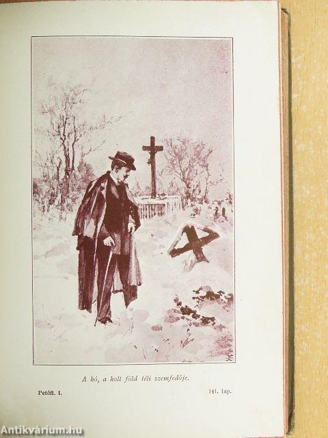 Remekírók Képes Könyvtára 1-50.