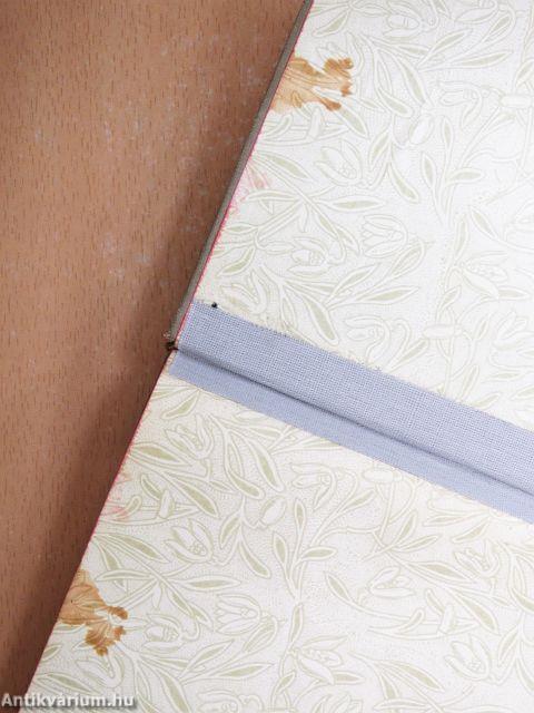 Remekírók Képes Könyvtára 1-50.