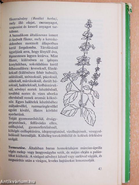 Fűszerek könyve