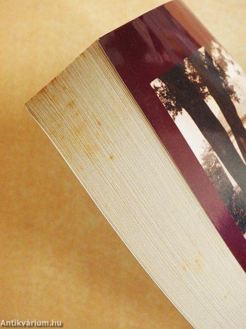 Voltam és más önéletrajzi írások/Astor