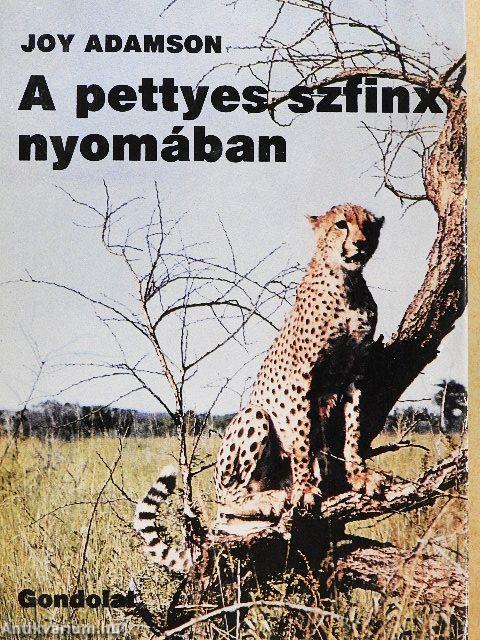 A pettyes szfinx nyomában