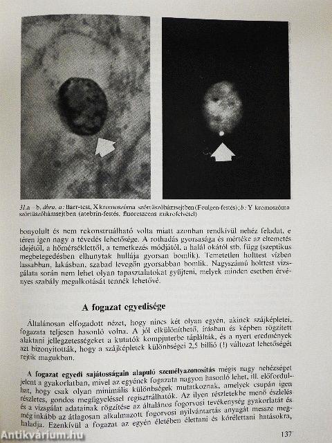 Az igazságügyi orvostan alapjai