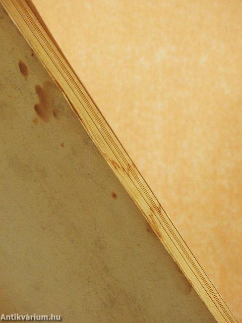 Egyetemisták a hátrányos helyzetű, peremkerületi és városkörnyéki fiatalok művelődéséért 1974/1