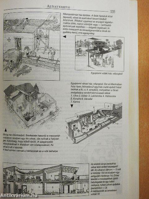 Életmódtörténet I-II.