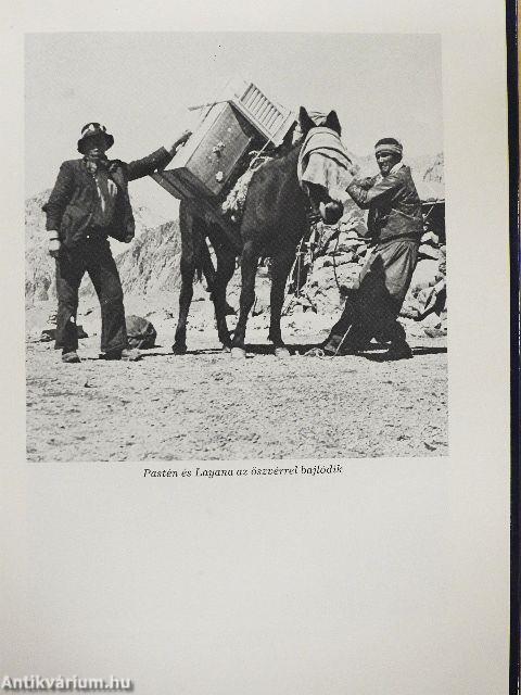 Vihar az Aconcaguán