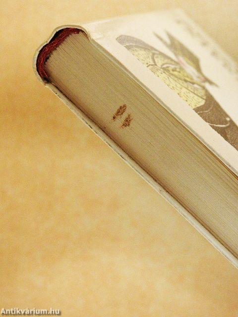 Anyanyelvünk játékai