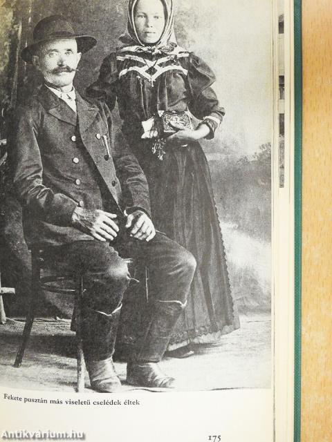 Veresegyház (dedikált példány)