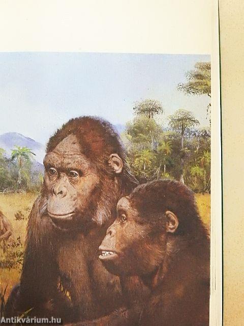 Az ősember és elődei