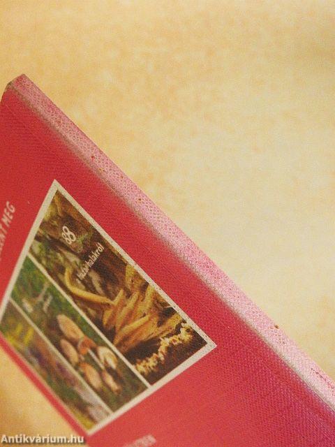 A virágos díszcserjékről