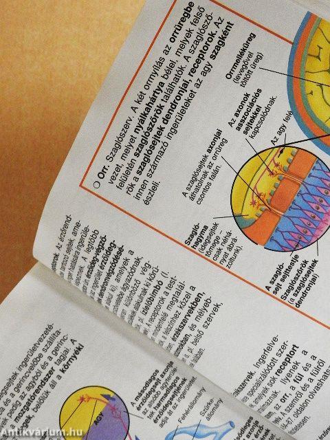 Park-Usborne Biológia Enciklopédia