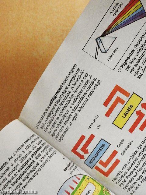 Park-Usborne Biológia Enciklopédia