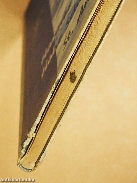 Hannes Schneider's hohe schule des skilaufes