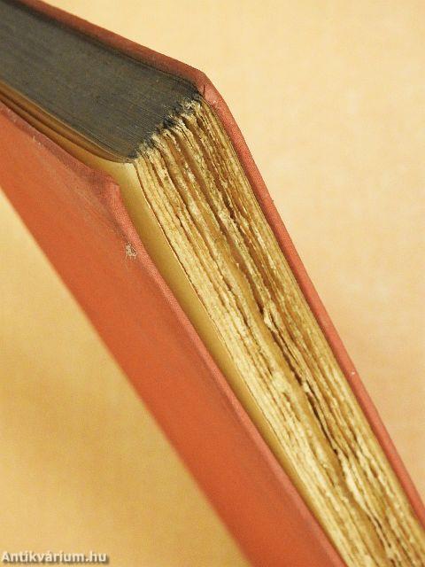 Triumph und Tragik des Erasmus von Rotterdam