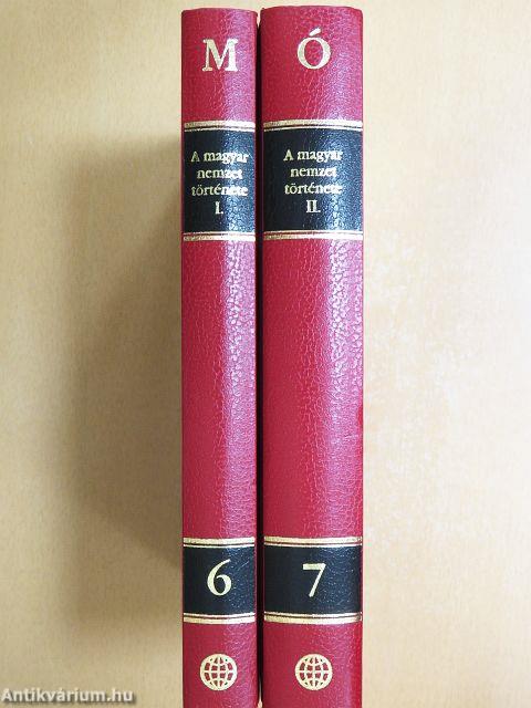 A magyar nemzet története regényes rajzokban I-II.