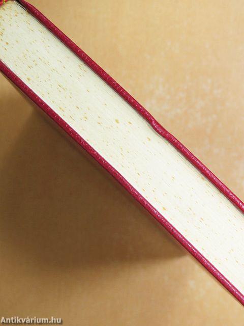 A magyar nemzet története regényes rajzokban I-II.