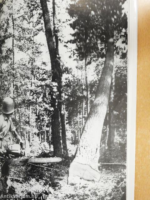 Erdőkerülőben (aláírt példány)