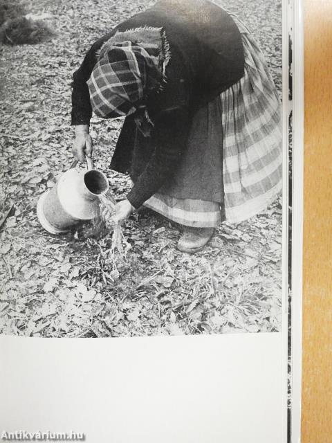 Erdőkerülőben (aláírt példány)