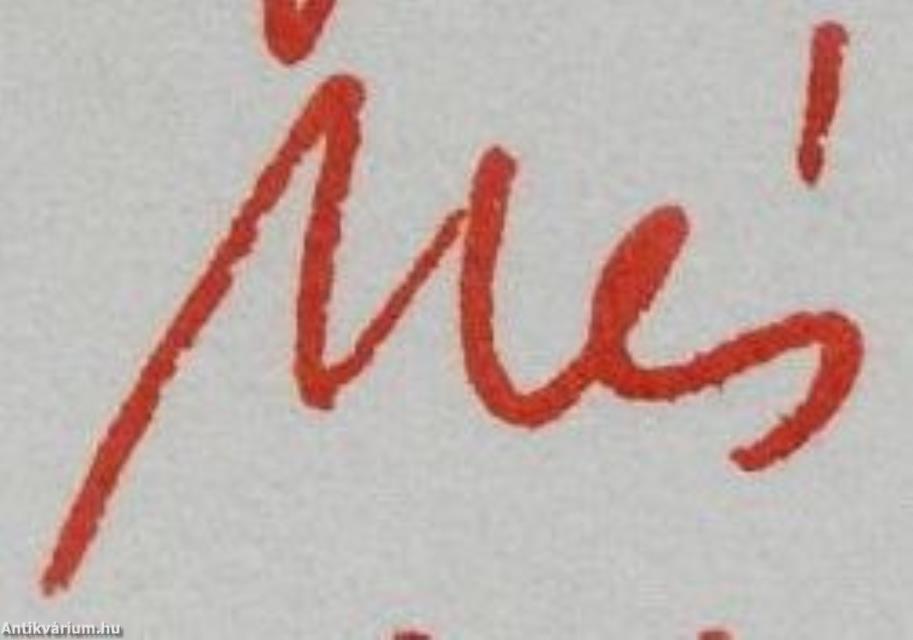 Nihilvill verscsarnoka