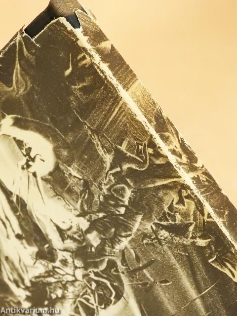 Harc a fehér báránnyal (dedikált példány)